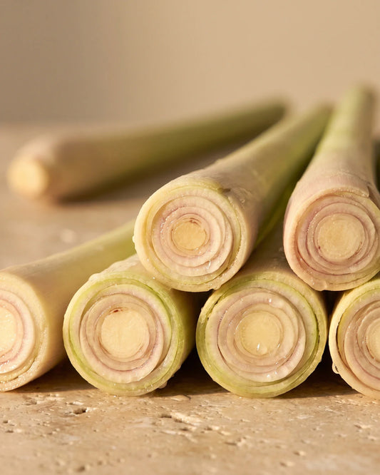 Tiges de citronnelle fraîchement coupées aux anneaux concentriques pâles dans une lumière chaude : la senteur hespéridée et lumineuse de l’huile essentielle pure de citronnelle Delune