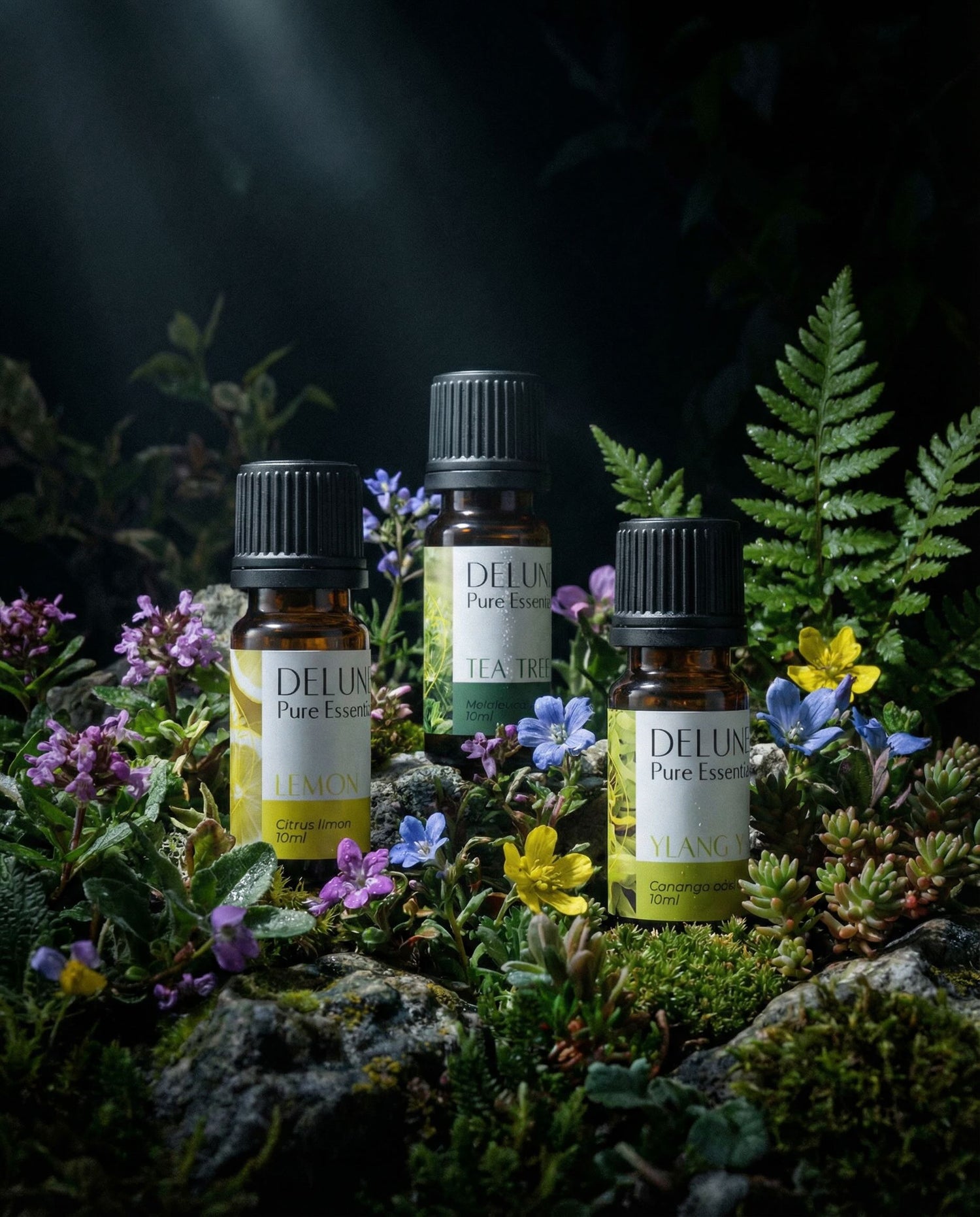 Aromatherapy & Wellness - Delune 