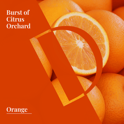 Sweet Orange Organic Wellness Grade Essential Oil - Delune 