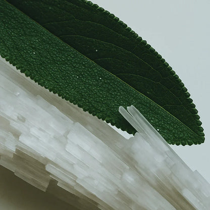 Sea Salt & Sagewood - Hair & Body Fragrance Mist - Delune 