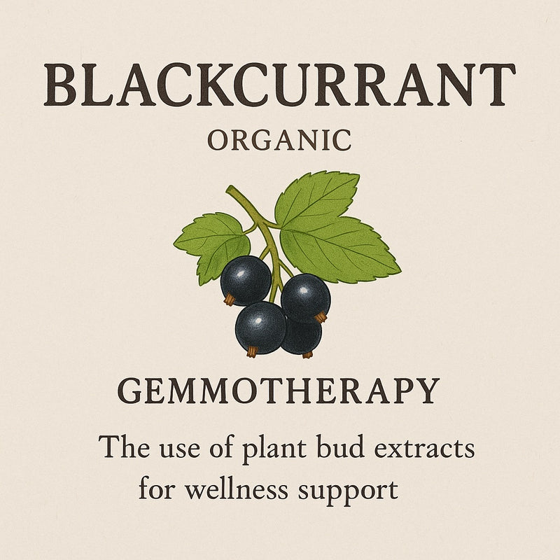 Blackcurrant Organic Gemmotherapy