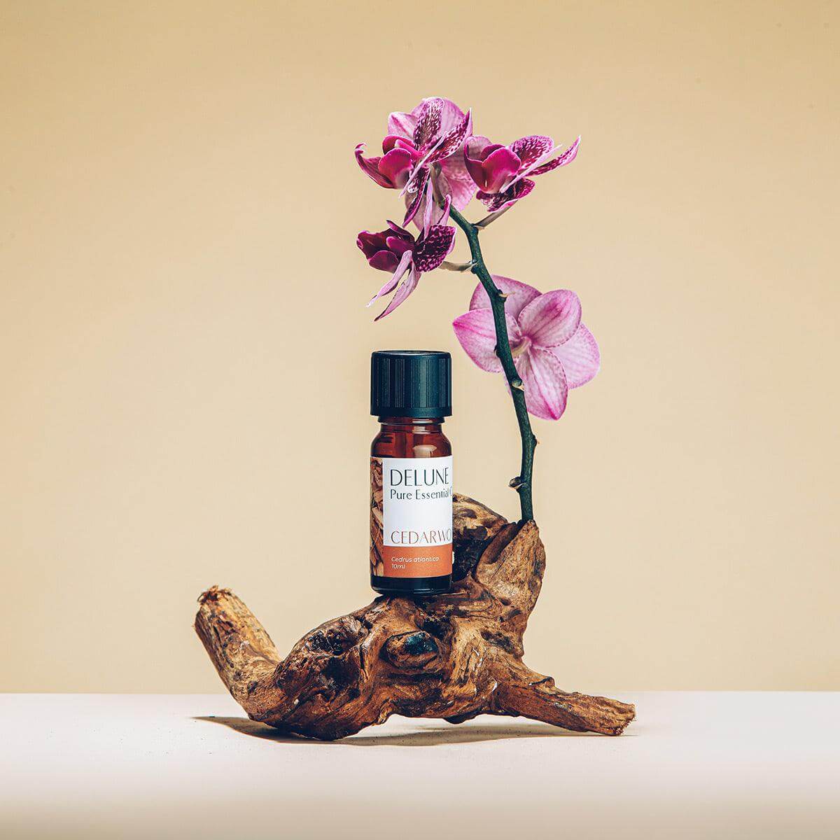 cedarwood-pure-essential-oil-delune-dubai-2_bd10ed59-eb79-4a5c-854e-7bf3271ecd69 - Delune 