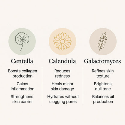 centella-calendula-galactomyces-skincare-benefits-infographic - Delune 
