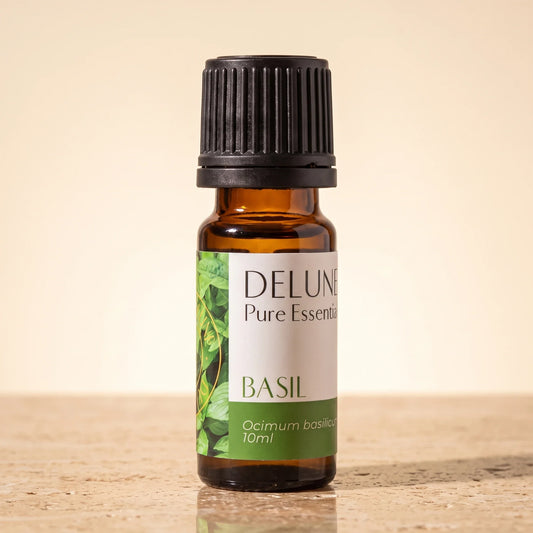 Huile essentielle pure de basilic