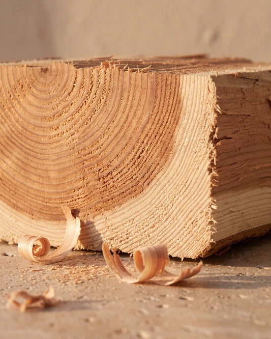 Bloc de bois de cèdre fraîchement fendu, copeaux bouclés et sciure dans une lumière rasante chaude : la senteur sèche et boisée de l’huile essentielle pure de bois de cèdre Delune