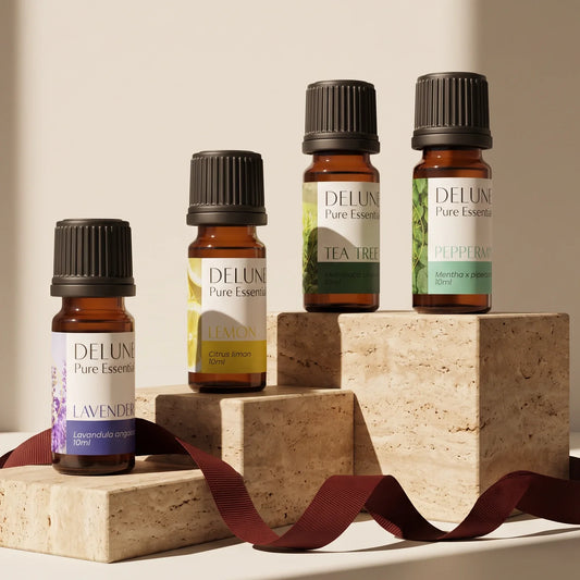 Les essentiels pour débuter — ensemble de 4