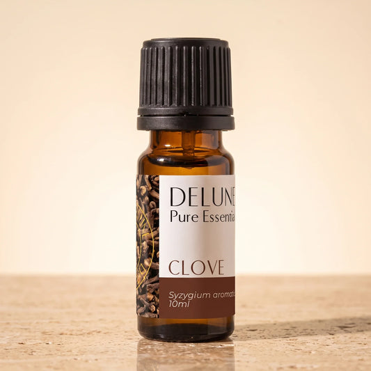 Huile essentielle pure de clou de girofle