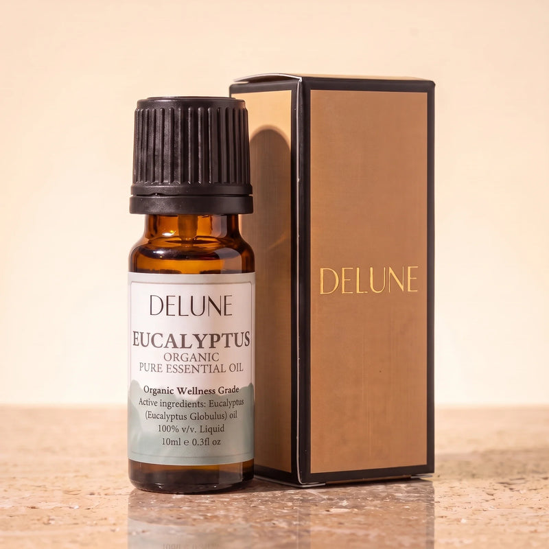 Huile essentielle biologique d’eucalyptus Delune, flacon de 10 ml en verre ambré avec son coffret-cadeau Delune à dorure sur pierre de travertin chaude
