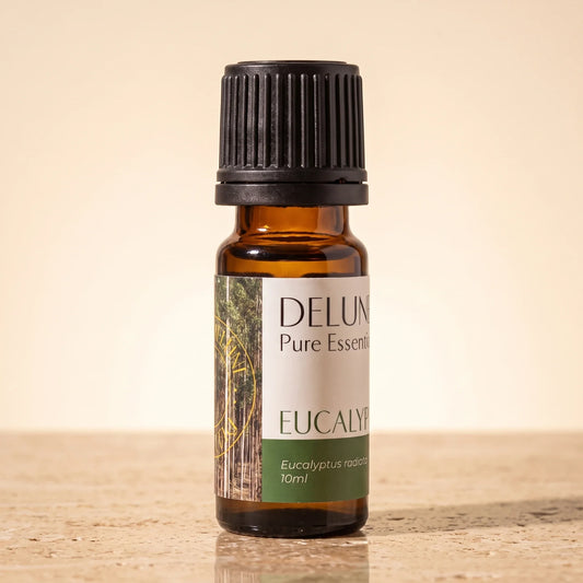 Huile essentielle pure d’eucalyptus (radiata)